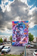 Pichiavo - Avenue Aristide Briant - Fontaine - Street Art Fest Grenoble - Juillet 2019