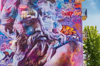 Pichiavo - Avenue Aristide Briant - Fontaine - Street Art Fest Grenoble - Juillet 2019