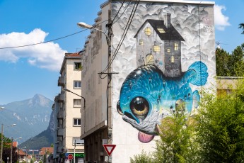 Veks Van Hillk - Rue Henri Barbusse - Fontaine - Street Art Fest Grenoble - Juin 2023