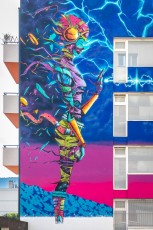 Deih - Rue des Champs Elysées - Grenoble - Street Art Fest Grenoble - Juin 2023
