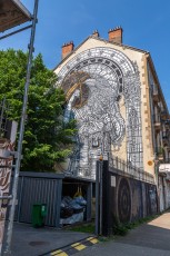 Monkey Bird - Cours Berriat - Grenoble - Street Art Fest Grenoble - Juin 2023