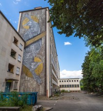 Monkey Bird - Avenue Marcellin Berthelot - Street Art Fest Grenoble - Juillet 2019