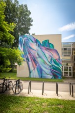 Rosie Woods - Université Département Licence Sciences et Technologies - Grenoble - Street Art Fest Grenoble - Juin 2023