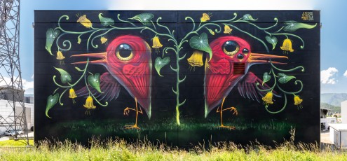 Veks Van Hillk - Chemin de la Digue - Seyssinet - Street Art Fest Grenoble - Juin 2023