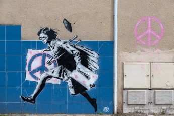 Falco - Rue Jean Bocq - Fontaine - Street Art Fest Grenoble - Juin 2023