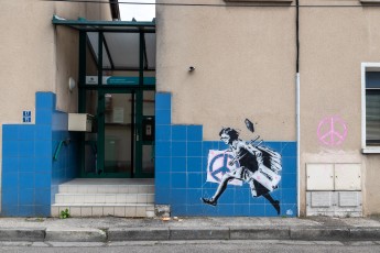 Falco - Rue Jean Bocq - Fontaine - Street Art Fest Grenoble - Juin 2023