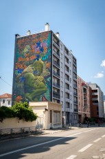 Beau Stanton - Avenue Jean Perrot - Grenoble - Street Art Fest Grenoble - Juin 2023