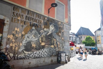 Madame - Rue du Palais - Grenoble - Street Art Fest Grenoble - Juin 2023