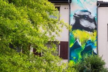 Daniel Mac Lloyd - Impasse du Saule - Meylan - Street Art Fest Grenoble - Juin 2023