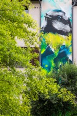 Daniel Mac Lloyd - Impasse du Saule - Meylan - Street Art Fest Grenoble - Juin 2023