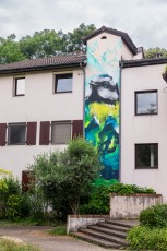 Daniel Mac Lloyd - Impasse du Saule - Meylan - Street Art Fest Grenoble - Juin 2023