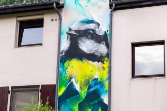 Daniel Mac Lloyd - Impasse du Saule - Meylan - Street Art Fest Grenoble - Juin 2023