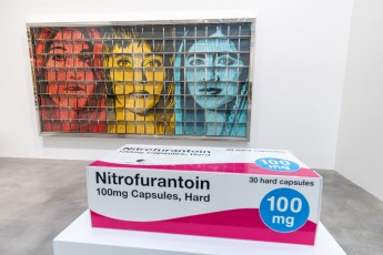"Triple Trouble" exposition de Invader, Shepard Fairey et Damien Hirst à la Newport Street Gallery du 10 octobre 2025 au 29 mars 2026