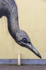 The Crystal Ship - Ostende. Roa
