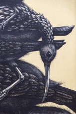 The Crystal Ship - Ostende. Roa