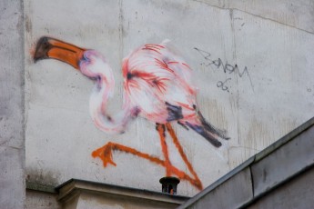 Bonom - Rue de la Fontaine au Roi 11è - Flamand Rose - Novembre 2008