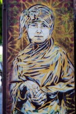 C215 - Avenue Jean Jaurès - Vitry-sur-Seine - Juin 2009