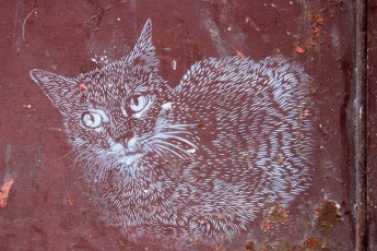 C215 - Rue de Belleville 20èEn balade en vélo avec Manon, pour en arriver là il a fallu suer à grosses gouttes en montant Ménilmontant avec Manon sur son siège à l'arrière. Elle avait l'air d'apprécier les chats de C215, il a même fallu qu'elle les embrasse. - Décembre 2008