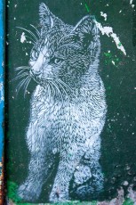 C215 - Rue de Belleville 20è - Décembre 2008