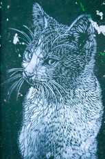 C215 - Rue de Belleville 20è - Décembre 2008