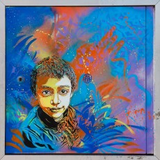 C215 - Vitry - Avenue Guy Moquet - Mars 2010