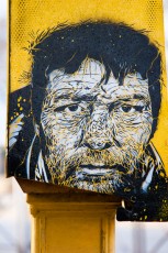 C215 - Vitry - Avenue Jean Jaurès - Novembre 2009