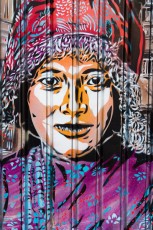 C215 - Vitry - Avenue Jean Jaurès - Novembre 2009