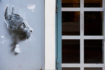 C215 - Vitry - Avenue de l'Abbé Roger Derry - Février 2011