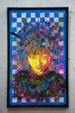 Exposition de C215 à la Galerie Itinérrance (Paris 13è) à l'occasion de la sortie du livre Community Service (Critères éditions).