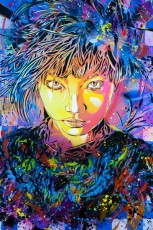 Exposition de C215 à la Galerie Itinérrance (Paris 13è) à l'occasion de la sortie du livre Community Service (Critères éditions).