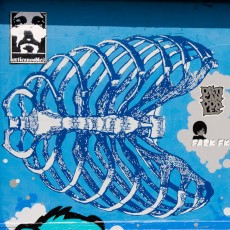 Orticanoodles - Festival Kosmopolite.Du 18 au 21 juin 2008 à Bagnolet.