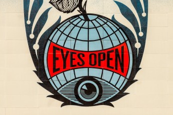 Shepard Fairey - Eyes open - Djerbahood - Erriadh - Djerba, Tunisie