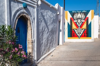 Shepard Fairey - Lotus - Djerbahood - Erriadh - Djerba, Tunisie