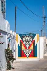 Shepard Fairey - Lotus - Djerbahood - Erriadh - Djerba, Tunisie