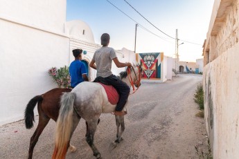 Shepard Fairey - Lotus - Djerbahood - Erriadh - Djerba, Tunisie