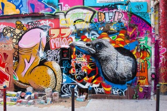 Roa et Frigo - Rue Dénoyez 20è - Février 2010