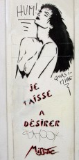 MissTic - Je laisse à désirer - Rue Geoffroy St Hilaire 05è - Juin 2001