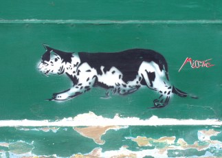 MissTic - Le chat à l'affut - rue de l'Epée de Bois 05è - Juin 2001