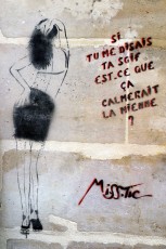 MissTic - Si tu me disais ta soif est-ce que sa calmerait la mienne - Rue Caron 04è - Août 2003