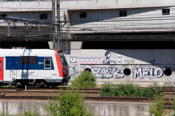 Blanck Panther - Avenue de France le long des voies de la Gare d'Austerlitz 13è - Juin 2006