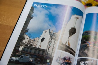 Graffiti Art #9 - Trois photos de l'autruche géante de Bonom et une du bon français de Pixel Pancho dans la rubrique Outdoor.