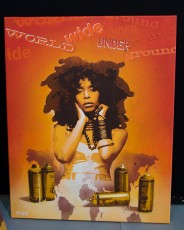 tian au mac de Paris - Erikah Badu - Novembre 2008