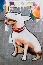 tian - Chien - Rue des Bons Enfants - St Ouen 93 - Juillet 2008