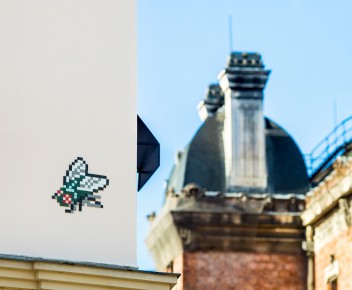 PA-1383 - The greenfly ! - Quartier du Jardin des Plantes 05è /// 30 pts