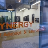 Exposition "Synergy" à la galerie Mathgoth, mars 2015