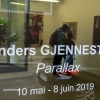 "Parallax" exposition de Anders Gjennestad à la galerie Mathgoth