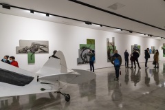 "Histoire naturelle" exposition de ROA à la galerie Itinerrance