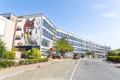 The Crystal Ship - Ostende