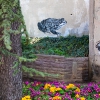 Grafs, pochoirs et affiches sur les murs de Vitry (Paris)