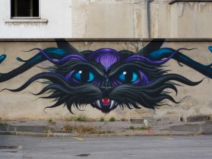Jeff Soto - Le chat terrible - Lyon quartier Confluences - Avril 2012